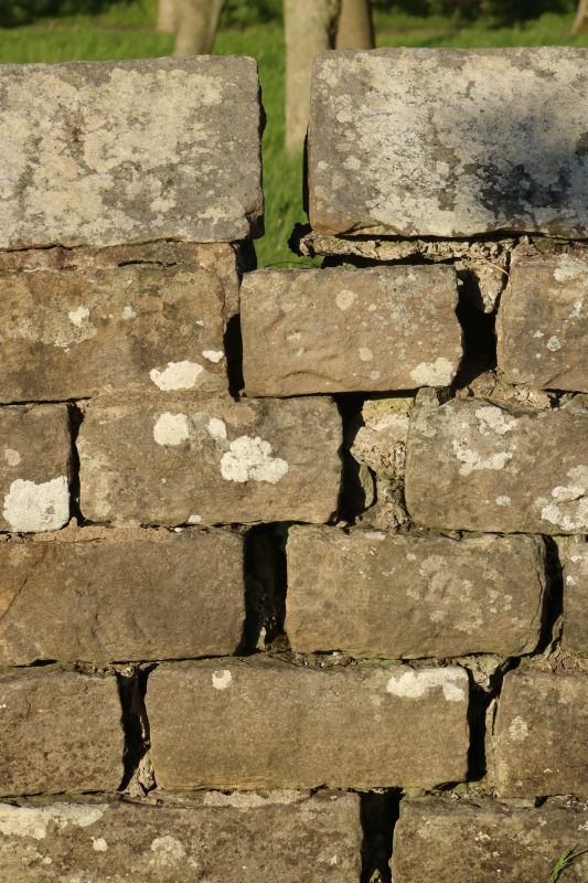 Stone Wall Repair in Wayne, MI